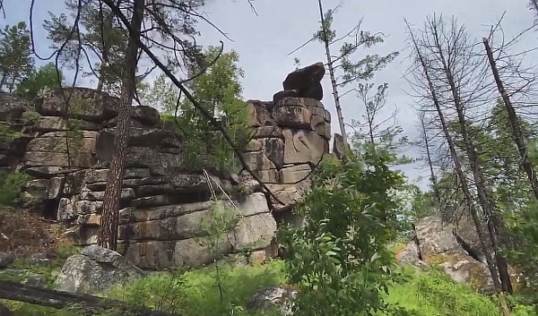 скальник Черепаха