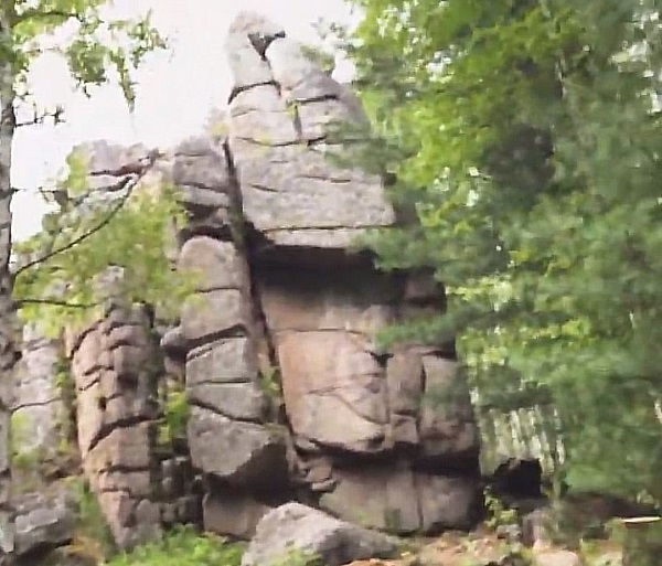 скальник Медвежата