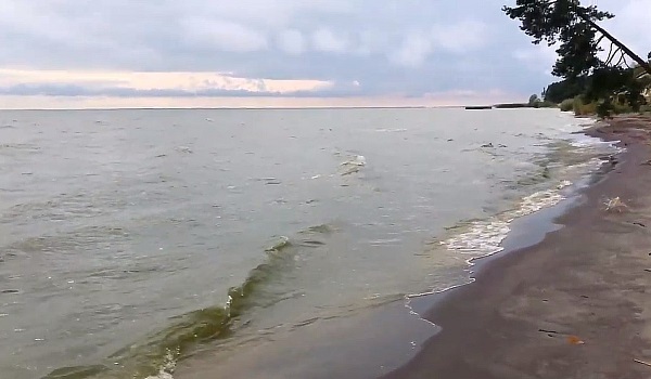 Куршский залив